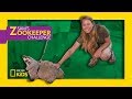 Understanding Makota the Badger's Training