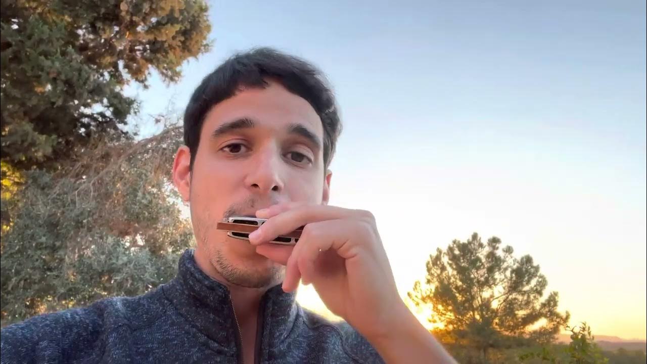 Can you recognise this 2006 hit on a harmonica? YouTube