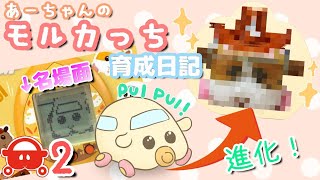 【PUIPUI モルカー】あっというまに進化！？あの名場面も！！【あーちゃんのモルカっち育成日記】＃2