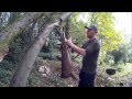 Muntjac Deer preparation Part 1