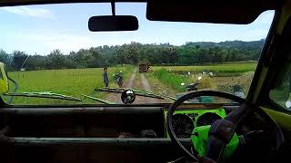 Umplung Mania Indonesia Menolak Punah