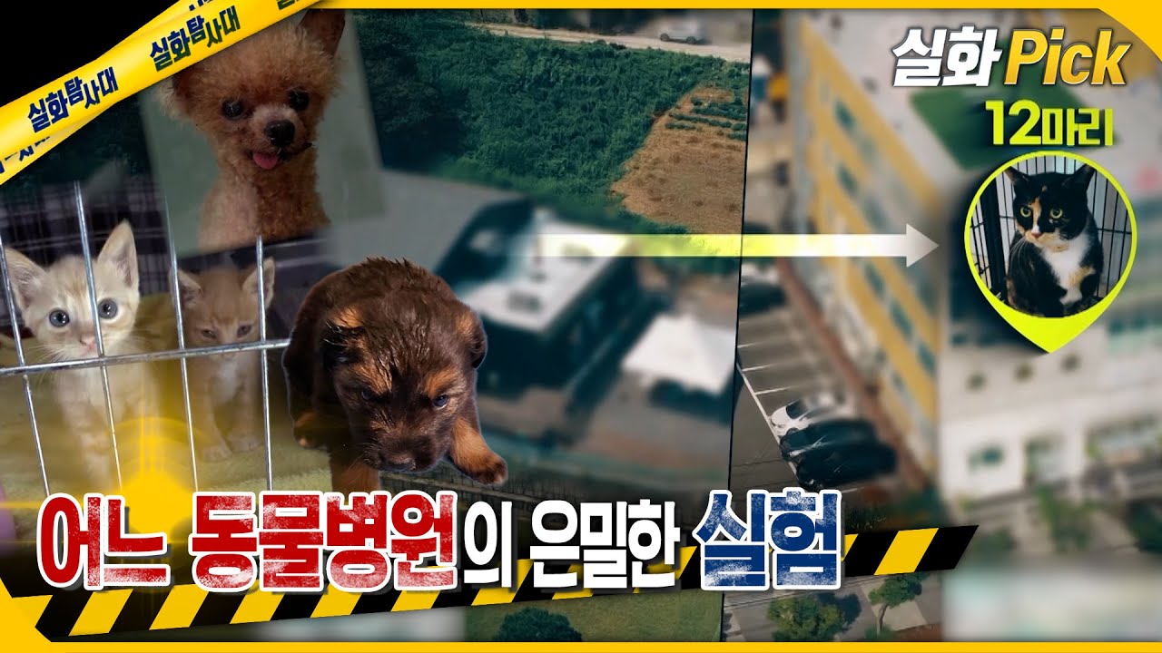 [실화Pick] 어느 동물병원의 은밀한 실험 #실화탐사대 #실화On MBC250911방송
