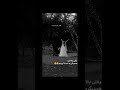 عروس و داماد کلیپ عاشقانه عروس داماد عروسی ویدیو کوتاه رقص جشن عروس و داماد کلیپ عاشقانه عروس داماد عروسی ویدیو کوتاه رقص جشن