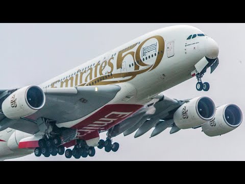 エアバス A380-800 ラグビー ワールドカップ 2019 61muSArCmcL._UF350,350_QL50_.jpg