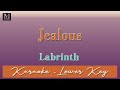 Jealous - Karaoke (Labrinth | Lower Key | Bb)