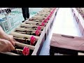 Gold-plated roses are packed in a regular gift box#rose #goldroses #flower #goldenrose