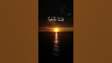 القرآن الكريم | محمد صديق المنشاوي ارح قلبك #المصحف #اكسبلور #quran