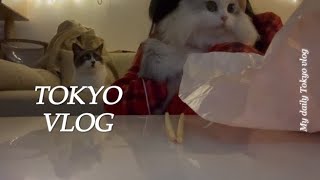 일본 일상 VLOG) 나 혼자 도쿄산다 / 새해부터 집 불남ㅋㅎ