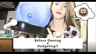 BEFORE OWNING A HEDGEHOG!!! by Liv Chambliss 30,935 views 7 years ago 14 minutes, 49 seconds