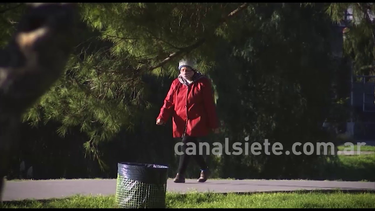 PRIMER CONGRESO INTERNACIONAL ONLINE POR DÍA MUNDIAL DE LA BICICLETA