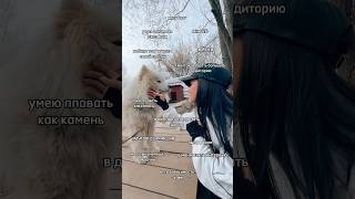 давай знакомиться, напиши интересный факт о себе🫶#shortsvideo