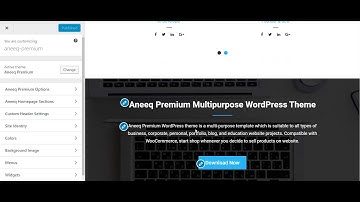 How To Configure Callout Area - Aneeq Premium WordPress Theme