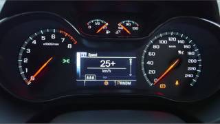 How do I use the Electronic Cruise Control in my Holden?