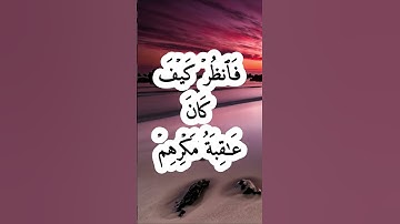 من الآية 49 إلى الآية 52 سورة النمل