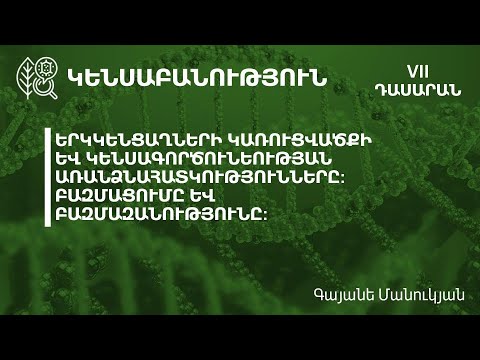 Երկկենցաղներ․ 7-րդ դասարան