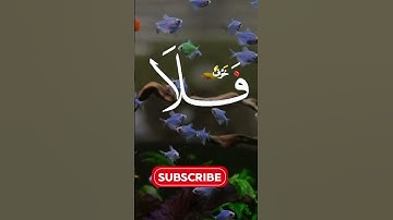 تلاوة خاشعة للقارئ عبد الباسط... #القرآن_الكريم #تلاوة_خاشعة #اكسبلور