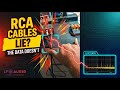 Can RCA signals pick up electrical noise?