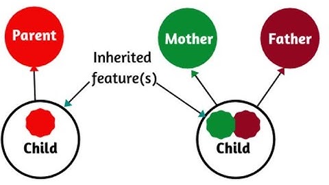 Inheritance - Part 1 | C#.NET Tutorial | Zaheer Ahmad