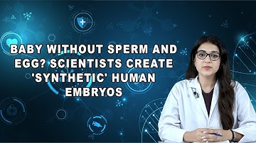 Baby without sperm and egg? Scientists create 