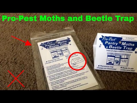 Pro-Pest Pantry Moths & Beetle Trap - A Do It Yourself Pest Control Store