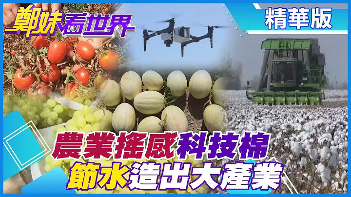 【鄭妹看世界】新疆智慧農機高科技栽植 加工特色番茄也有」三高二少」?張騫通西域都帶回哪些葡萄瓜果?@Global_Vision  精華版 - 天天要聞