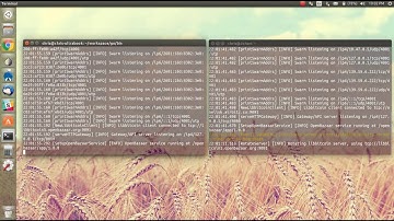 openbazaar-go 6/11/16