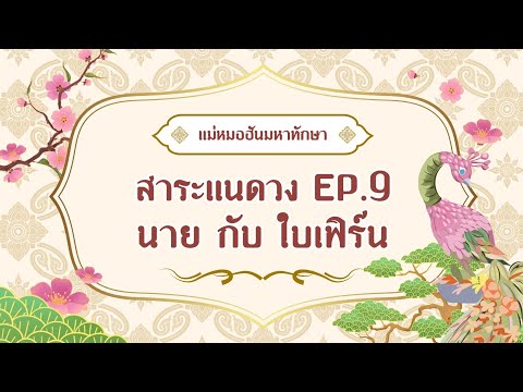 ผ่าดวงความรัก #นายณภัทร #ใบเฟิร์นพิมพ์ชนก #นายใบเฟิร์น สาระแนดวง คนดัง EP.6 โดยแม่หมอฮันมหาทักษา