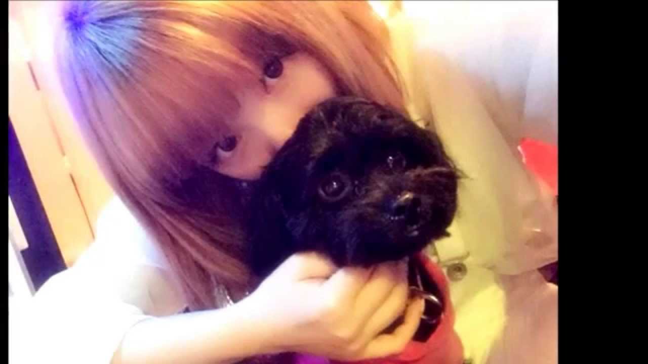 素顔もかわいい きゃりーぱみゅぱみゅさん Youtube