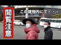 【家内で大量発生】害虫退治をプロに相談した結果　　　　　【カーメン君】【園芸】【ガーデニング】【プロトリーフ】