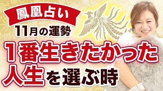 【鳳凰占い】11月の運勢・１番生きたかった人生を選ぶ時【天之御中主神様のメッセージ】
