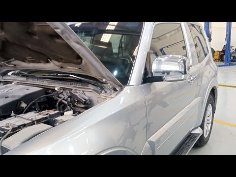 Mitsubishi Pajero (what is the cause rpm)( revolution per minute) up and down idling