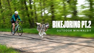 Intro to Bikejoring (Part 2)