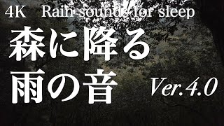 【自然音】秋の森に降る雨の音と鳥の声 1時間 ver.4.0　The Rain in a Forest