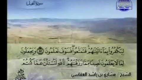 واذا بشر احدهم بالانثى ظل وجهه مسودا وهو كظيم يتورى من القوم من سوء ما بشر سورة النحل مشاري العفاسي