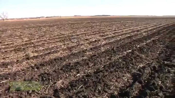 Iron Talk #866 - Strip Till Last (Air Date 11/9/14)