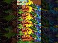 God Plants Fusions Recipe #pvzfusion #mobilegame #plantsvszombies #pvzgame