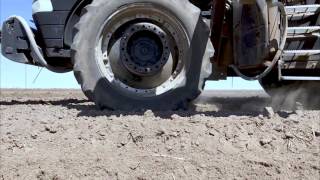 Green Thumb Family Farm Planting Potatoes