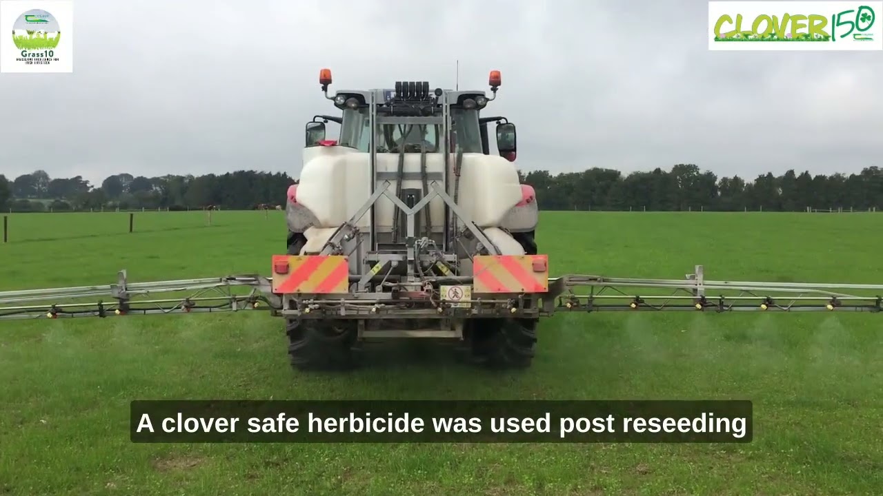 Establishing grass clover swards - Peter Doyle