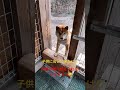 子供の顔を見に来たけど😅