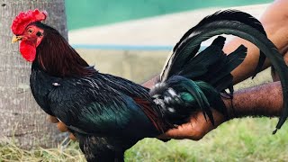 Como Tener Éxito En El Gallerismo Con Poca Inversión