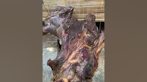 Review gốc hương đá krôngpa đặc tịt tinh lõi chun sụn ôm đá tự nhiên 106kg đực đẽo chơi tự nhiên OK