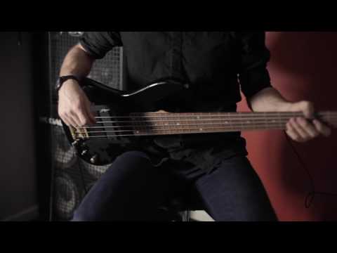 65daysofstatic - Radio Protector | Bass Cover