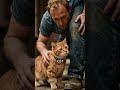 Кот на самом деле узнаёт голос хозяина
