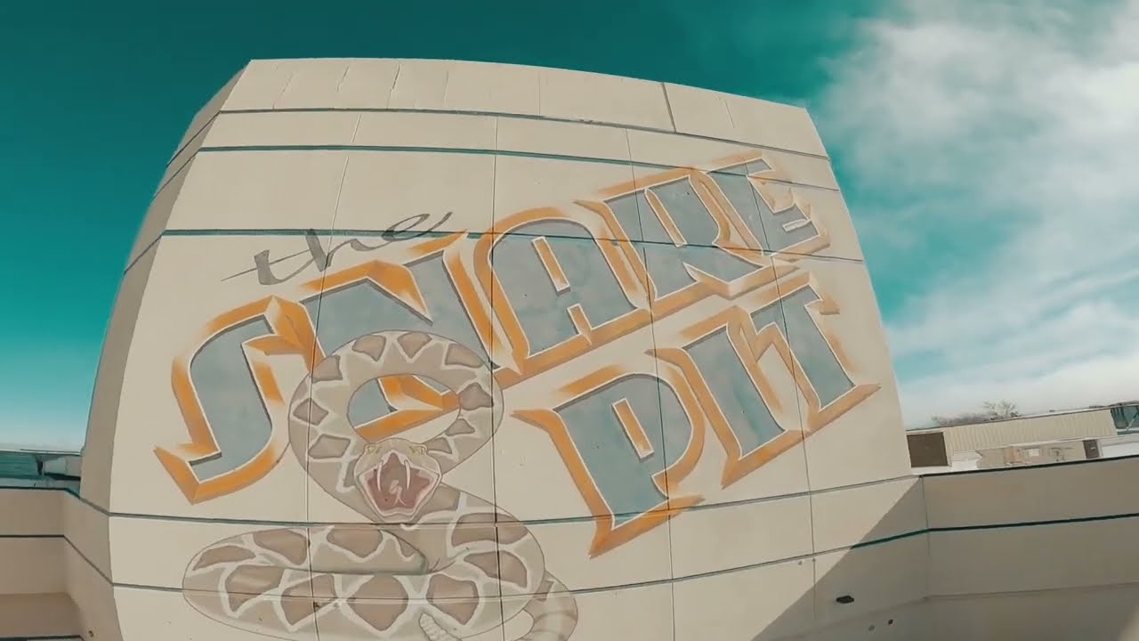 🐍Snake Pit 🐍🕳