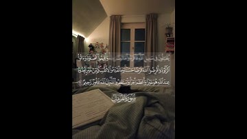 سورة المزمل#علي_جابر #قران_كريم #quran #allah