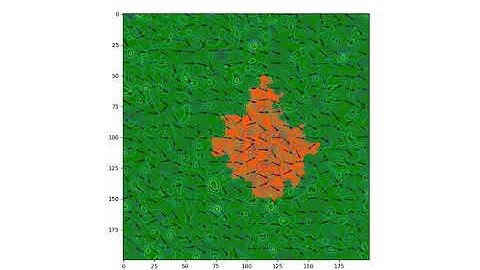Cellular Automata Fire Simulation
