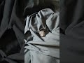 Ratties will make holes in your sheets...