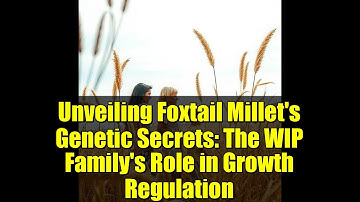 Unveiling Foxtail Millet
