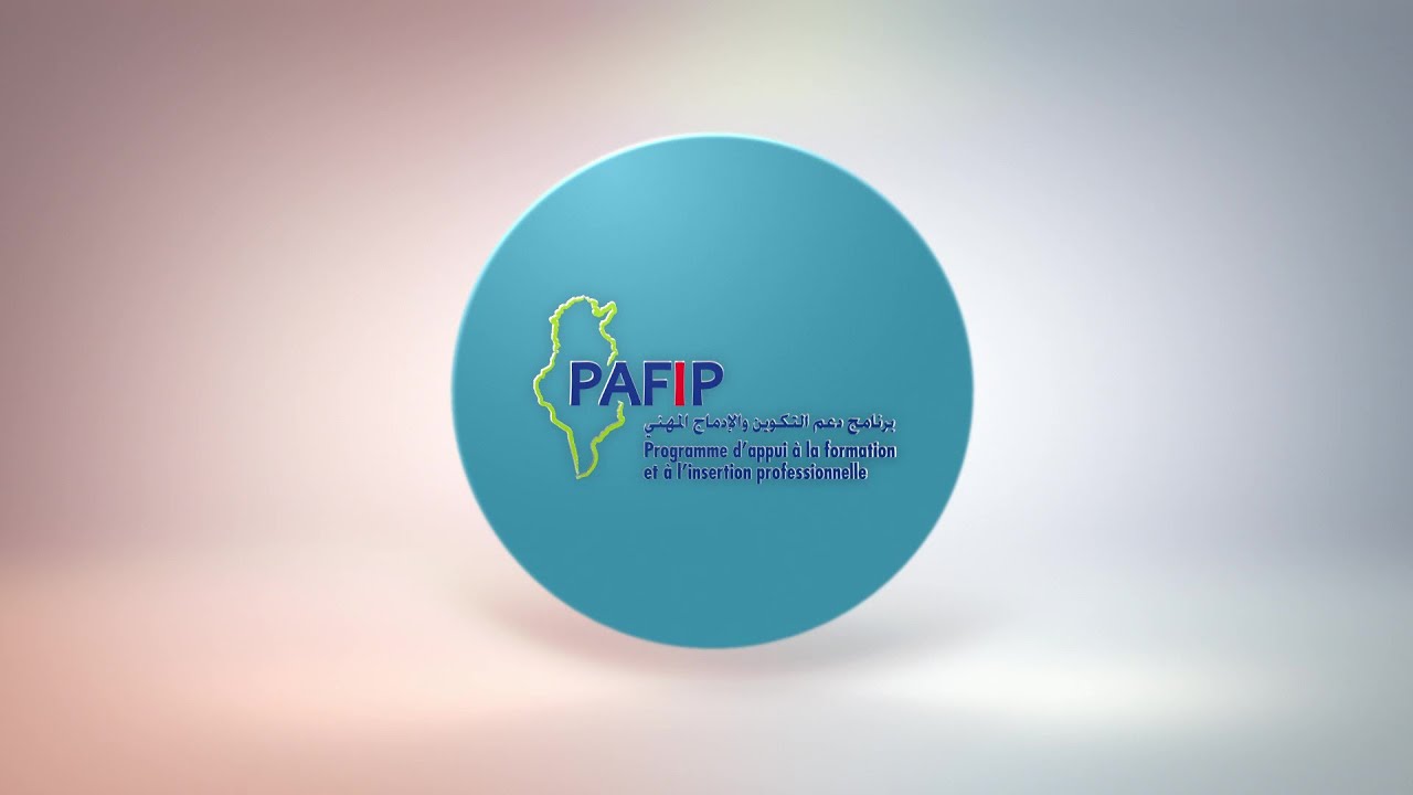 Programme d'Appui à la Formation et l'Insertion Professionnelle en Tunisie
