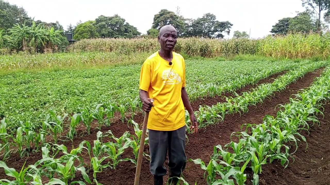 THE BEST WEEDING THAT QUARANTEES THE MAXIMUM YIELD.